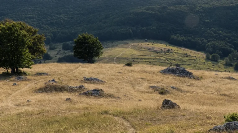 Sentiero nel territorio di Acciano, immagine contestuale per il Cammino del Perdono