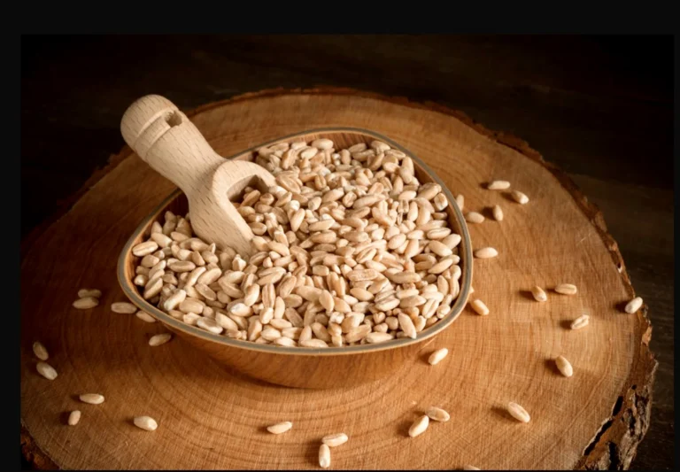 Farro di Abbateggio